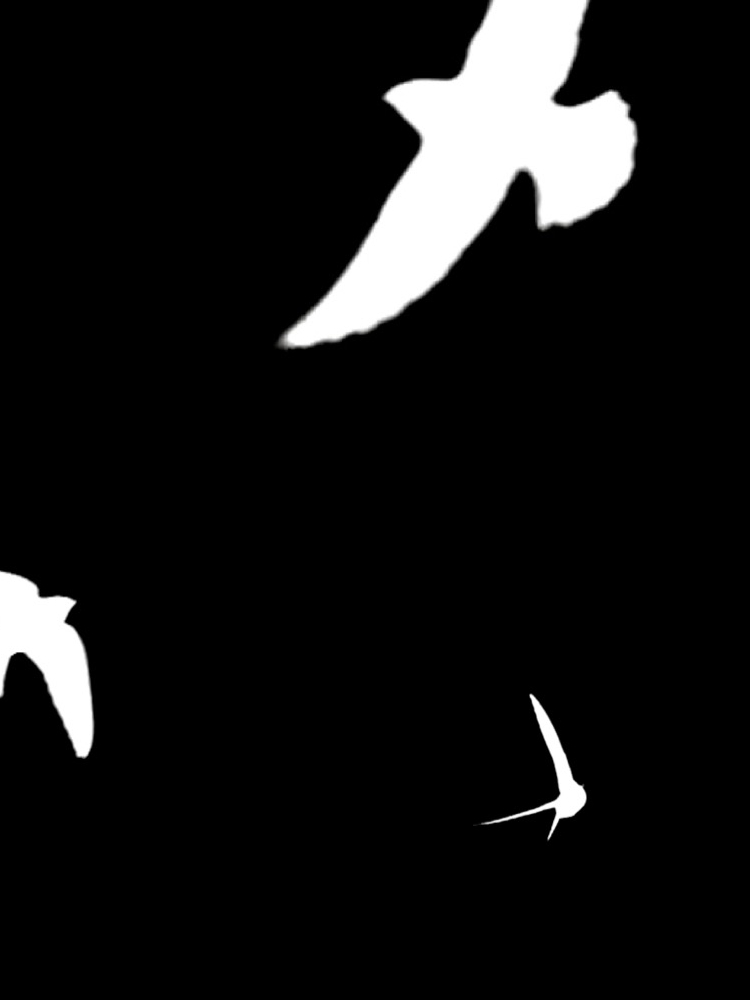 contrapposto corridor BGC at